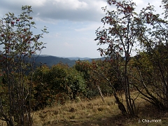 Les Vosges du Sud, ce sont les reliefs situé au nord de Belfort